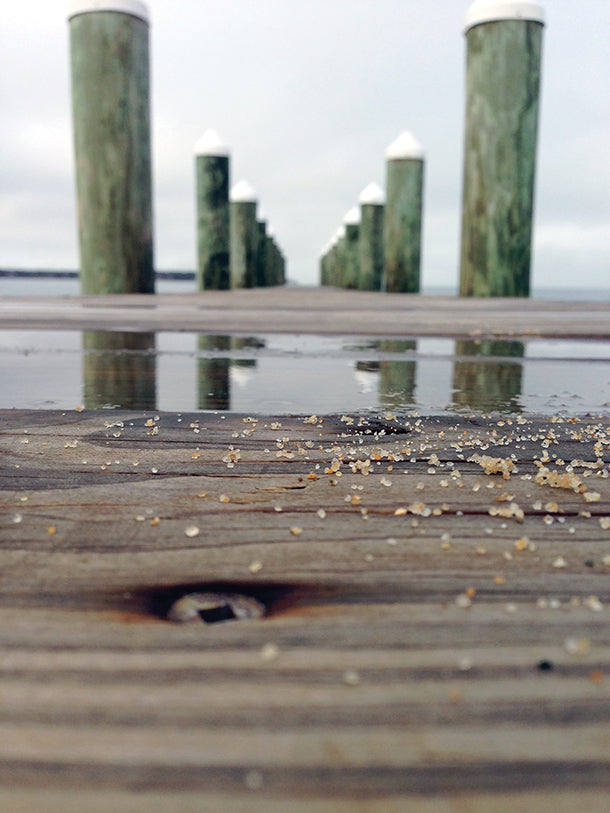 Salt of the Sea