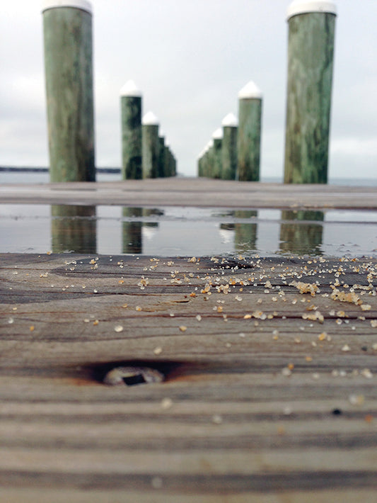 Salt of the Sea